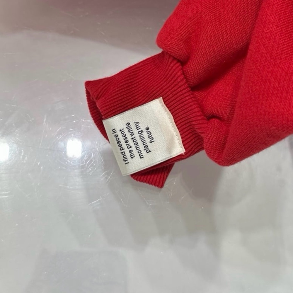 Alchemai Lunar New Year Hoodie - Picture 7 of 7